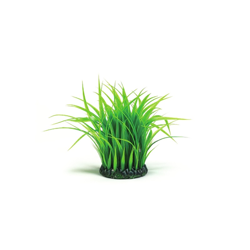 biOrb Grass Ring Green