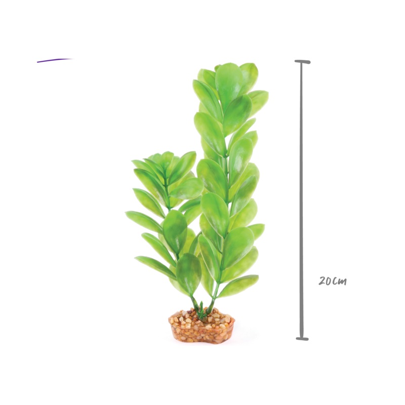 Kazoo Plastic Plant Decorative Large Leaf Green