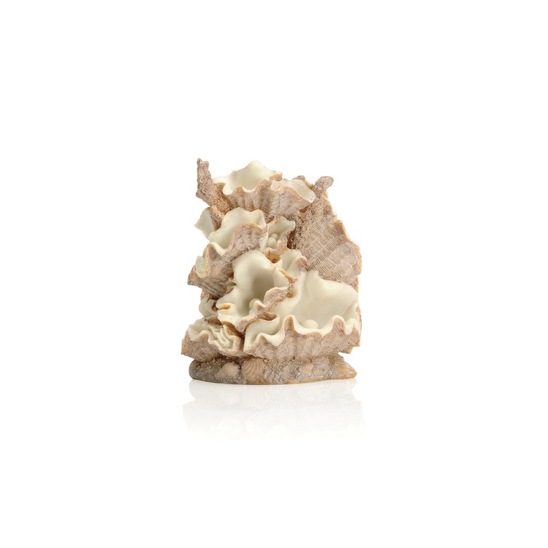 biOrb Clamshell Ornament
