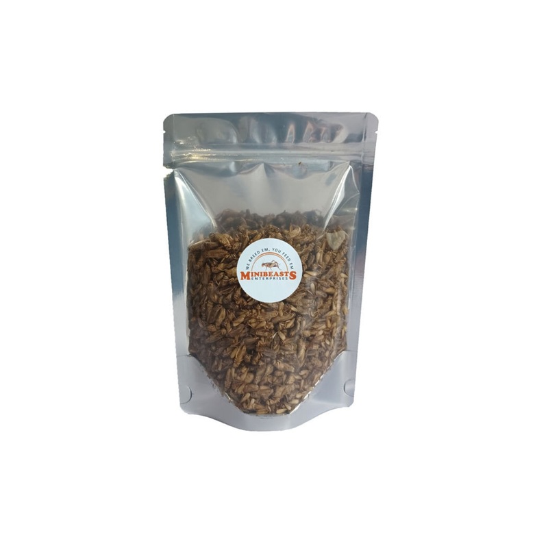 Minibeasts Freeze Dried Crickets