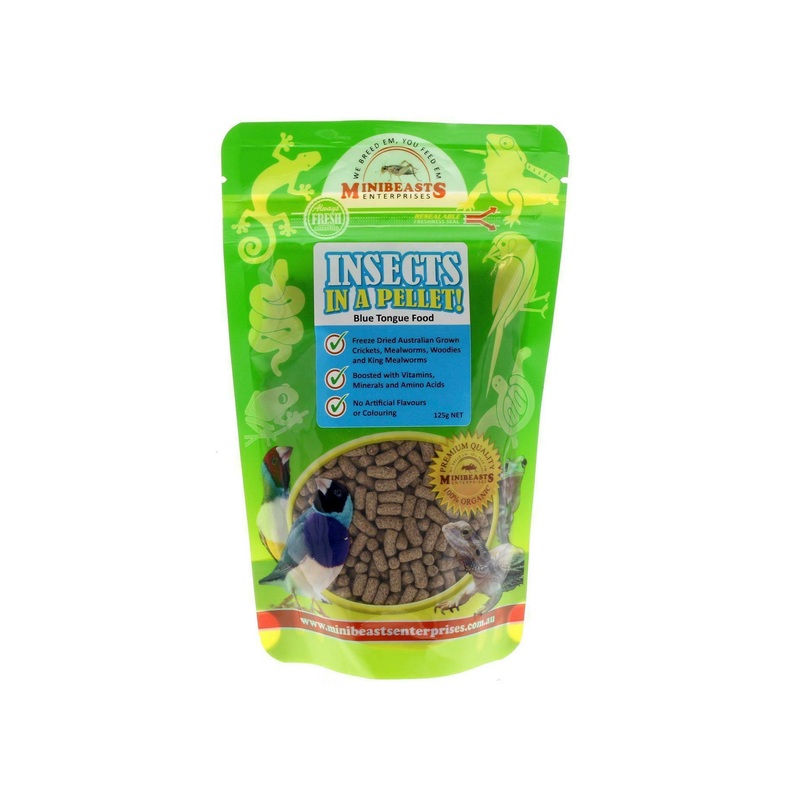 Minibeasts Insects in a Pellet! Blue Tongue Food