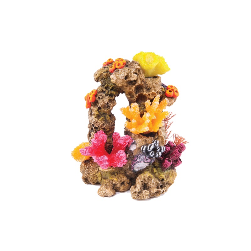 Kazoo Reef Rock With Coral and Plants