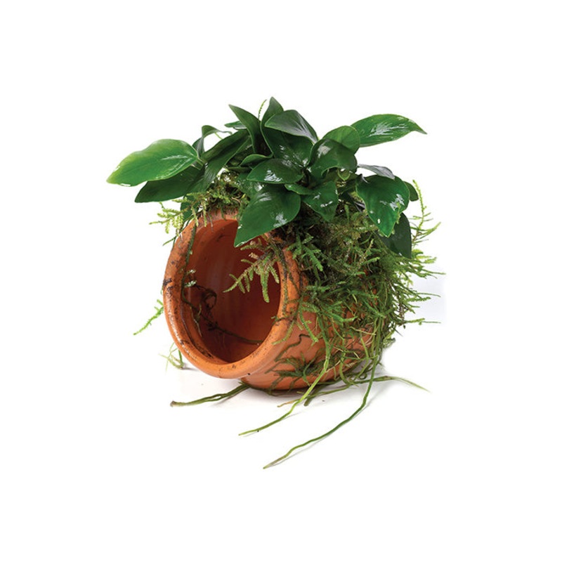 Paco & Fontinalis Terracotta Urn Creation