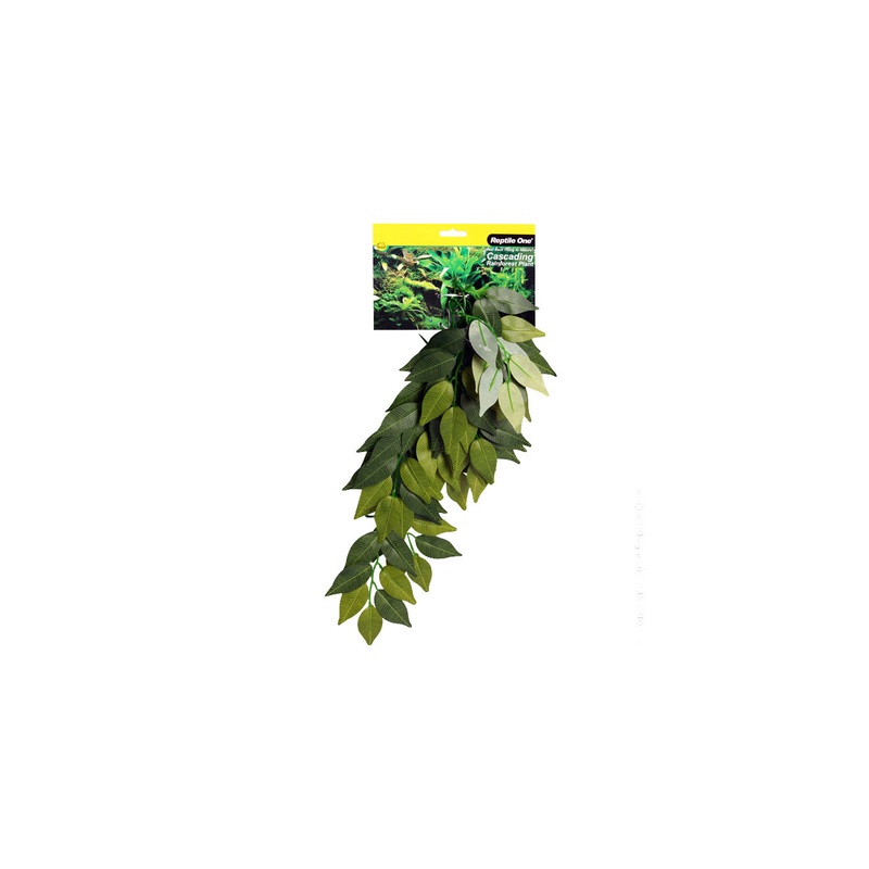 Reptile One Varigated Ivy Cascading Plant Green