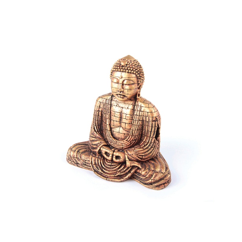 Kazoo Buddha With Air