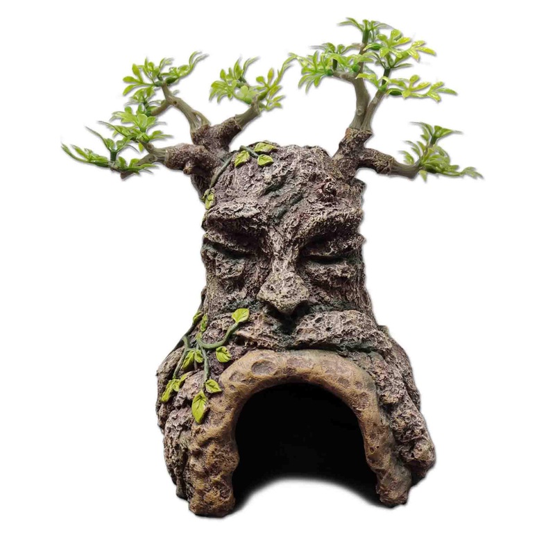 Old Tree Hide