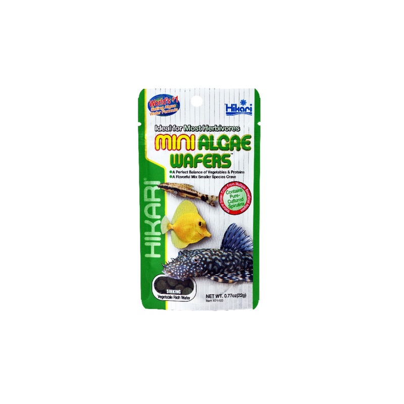 Hikari Mini Algae Wafers