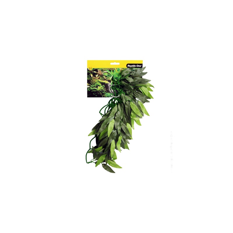 Reptile One Tradescantia Cascading Plant Green