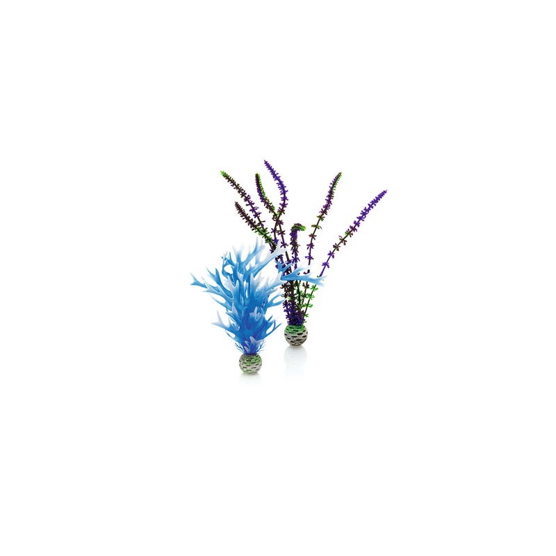 biOrb Plant Set Medium