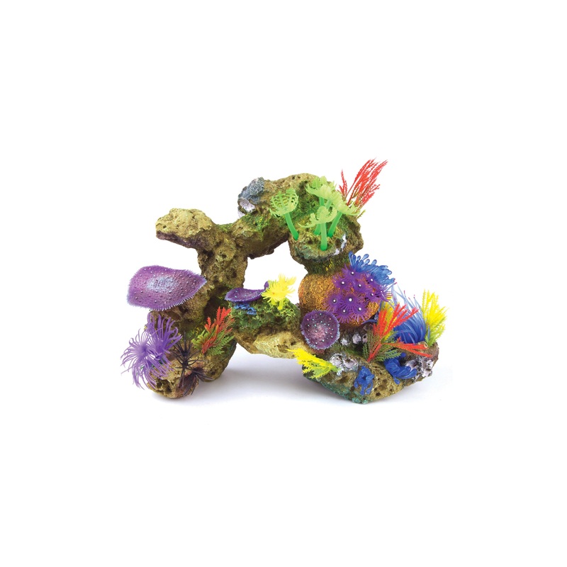 Kazoo Soft Coral With Rock and Plants