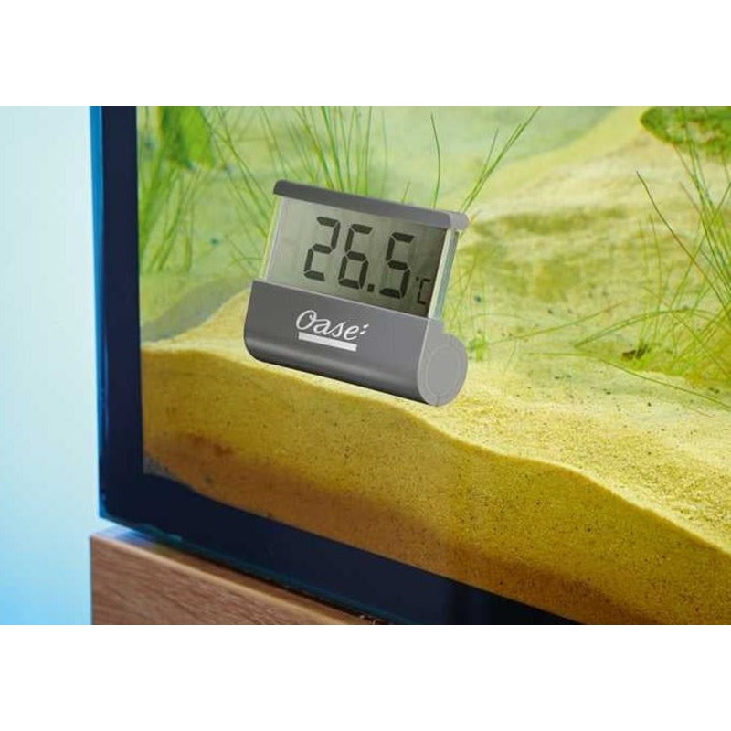 Oase Digital thermometer