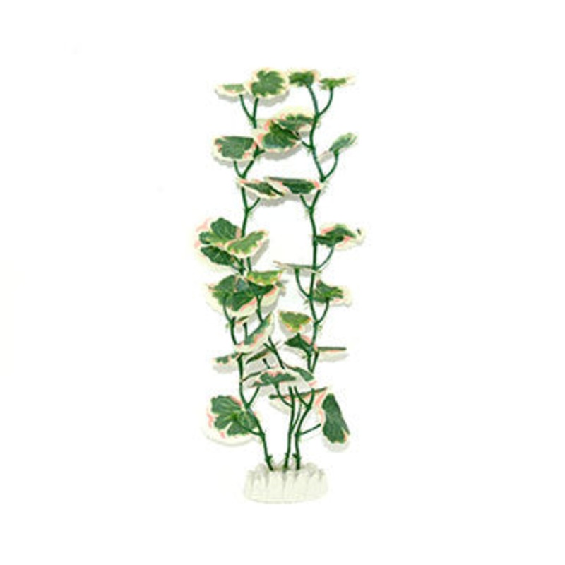 Aqua Dekore Pink Tipped Oralla Silk Plant