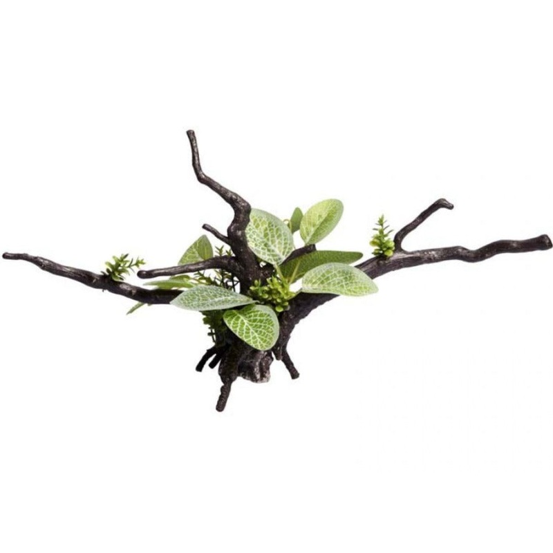 Aqua One Ecoscape Calathea Driftwood Green - discontinued
