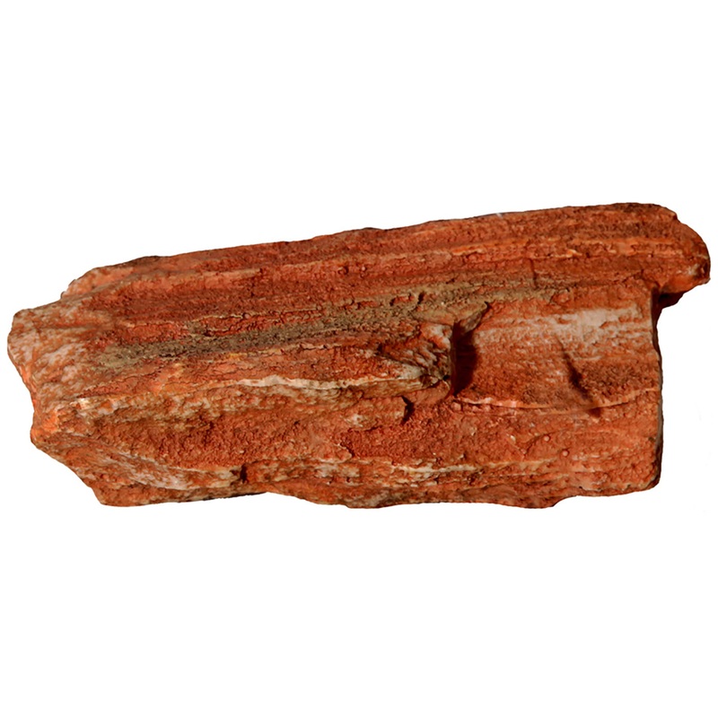 Aqua One Petrified Wood Ornament