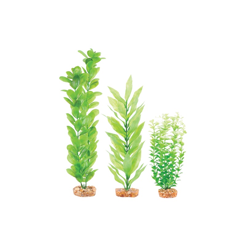 Kazoo Plastic Plant Multipack 2