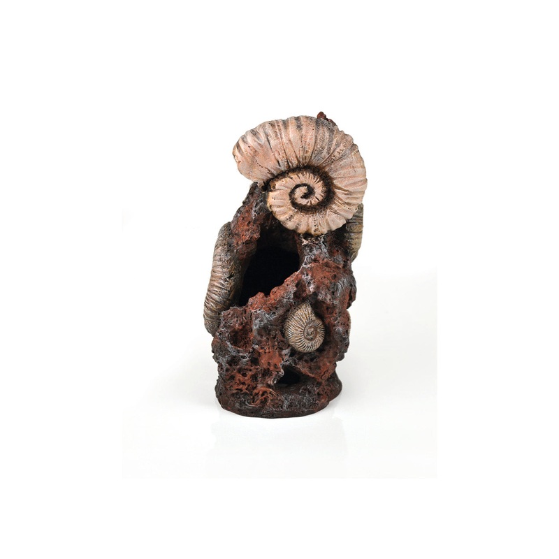 biOrb Ancient Conch Ornament