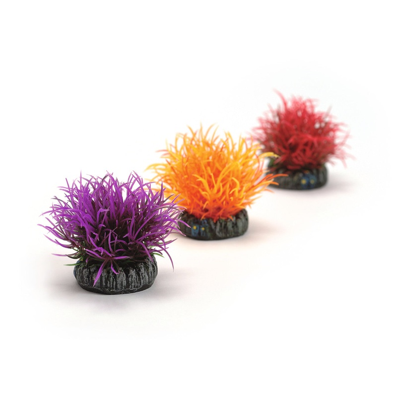 biOrb Aquatic Colour Ball (3 Set)