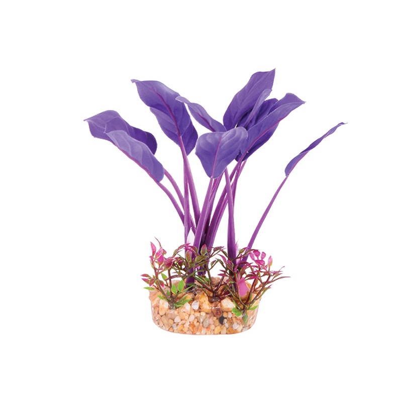 Kazoo Silk Plant Thin Leaf Purple