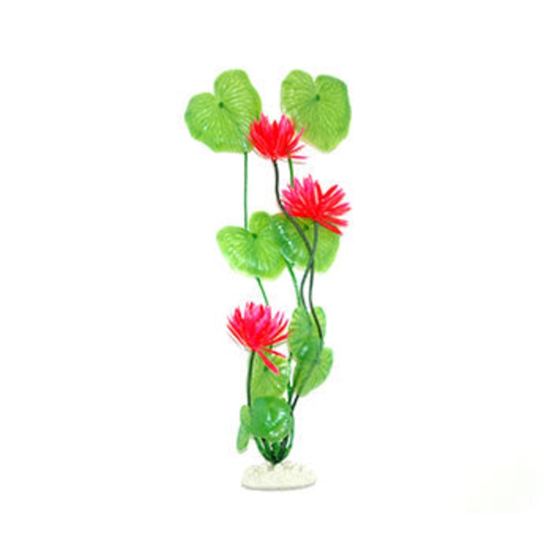 AquarWorld Water Lily