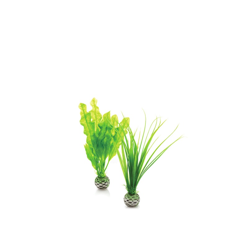 biOrb Easy Plant Set Green