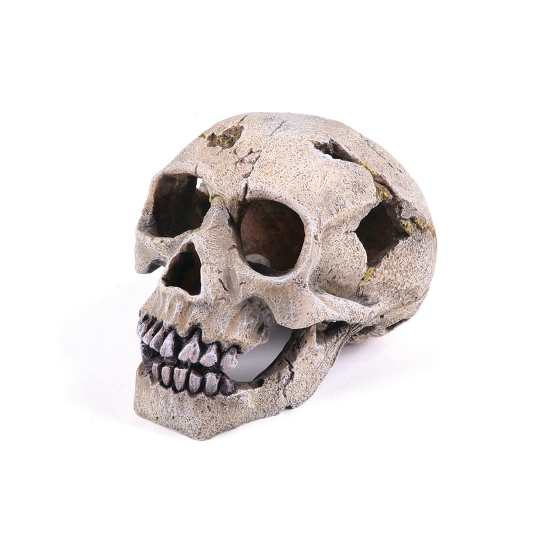 Kazoo Skull