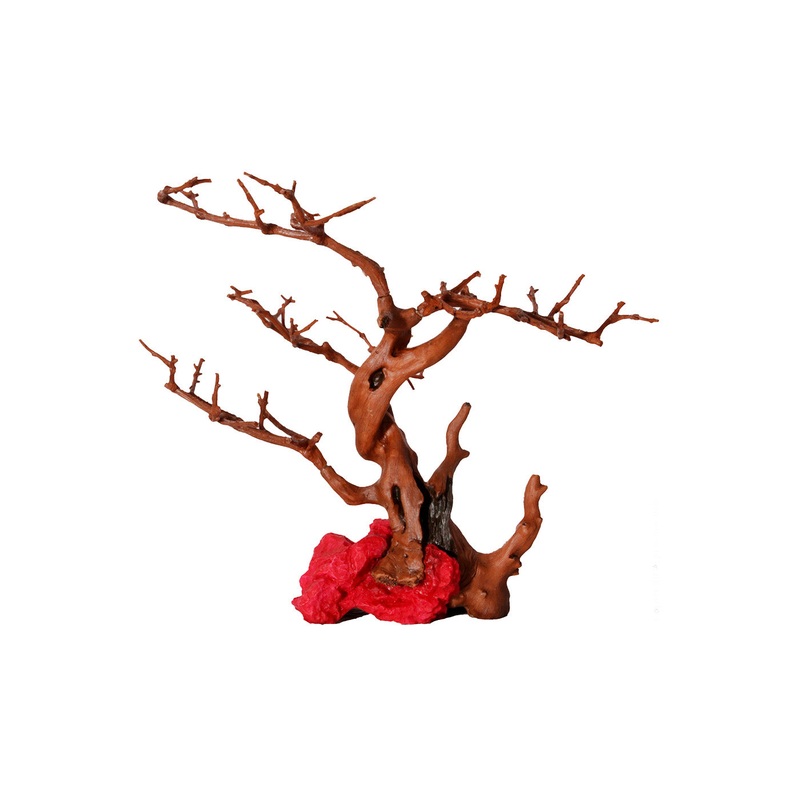 Reptile One Hermit Crab Climbing Branches and Red Rock