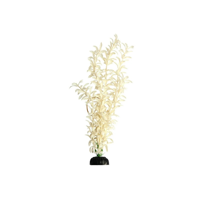 Aqua One Brightscape Medium Ludwigia White