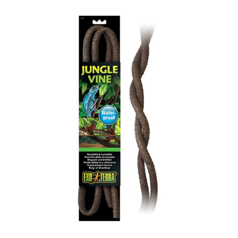 Jungle Vine - Small