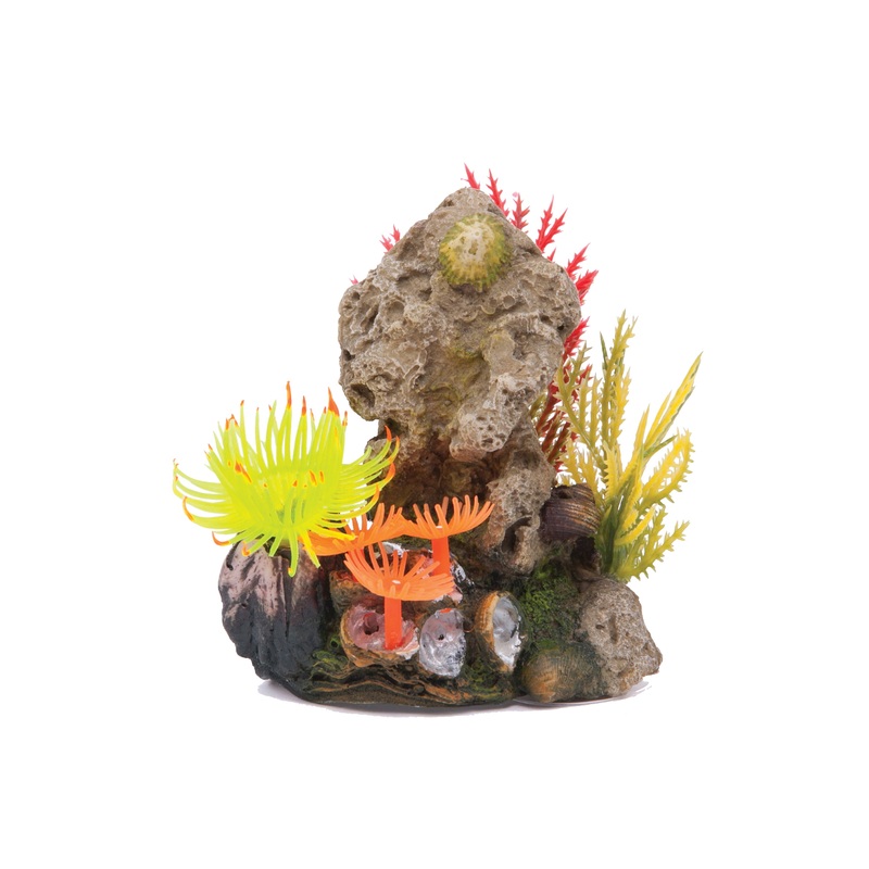 Kazoo - Soft Coral Stone W/Plants