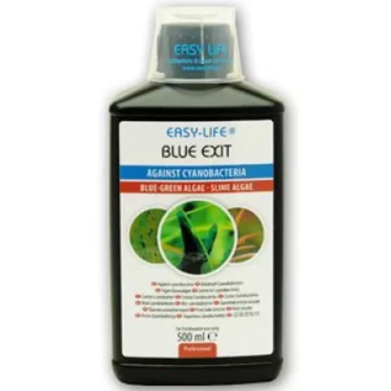 Easy Life Blue Exit