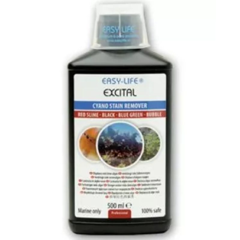 Easy Life Exital