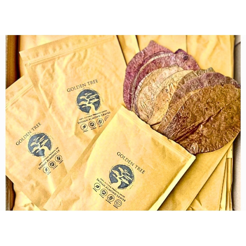 Golden Tree Premium Indian Almond Leaves
