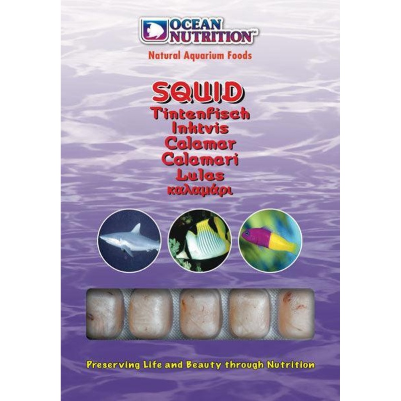 Ocean Nutrition Frozen Squid