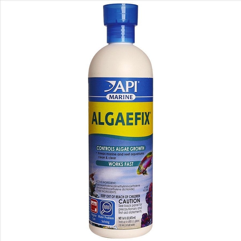 API Marine Algaefix