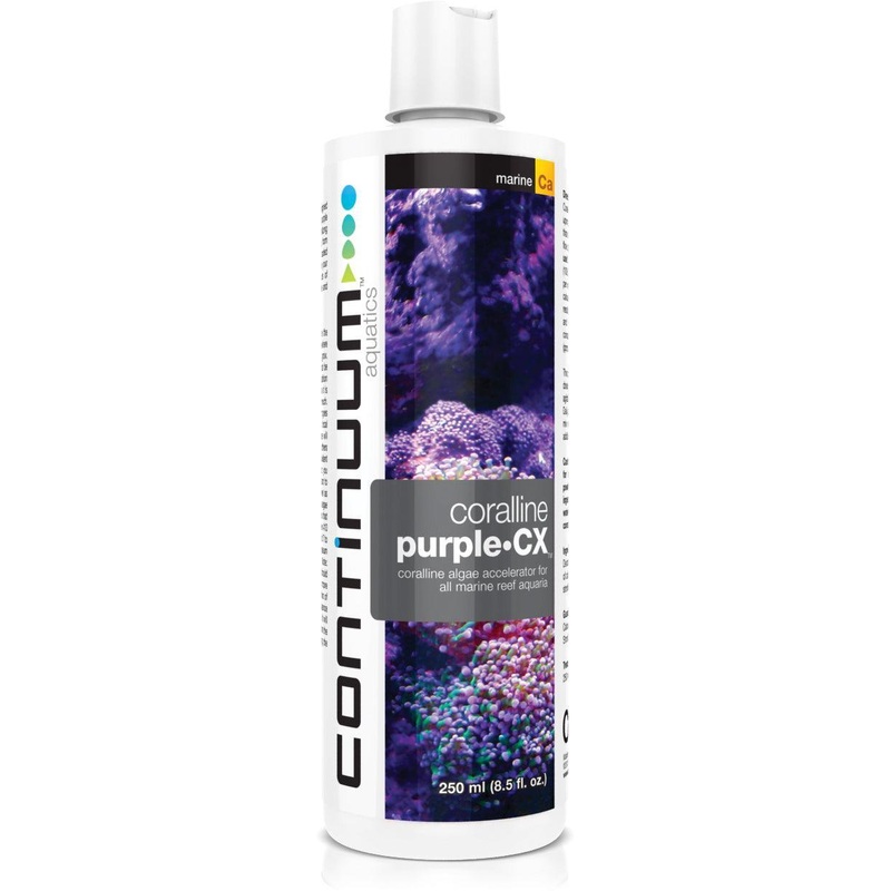 Continuum Coralline Purple CX