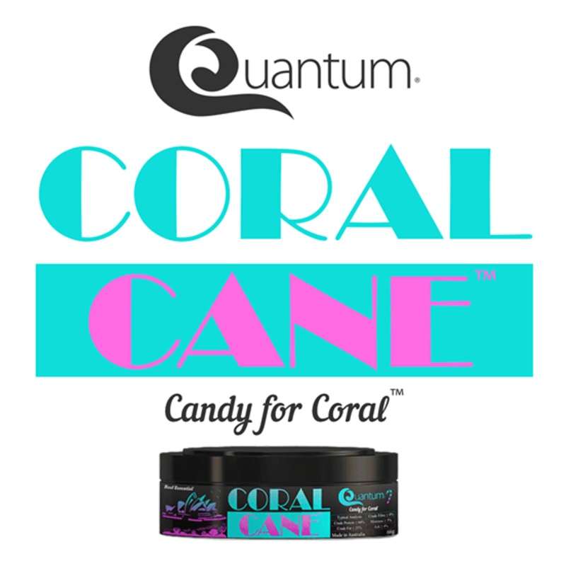 Quantum Coral Cane