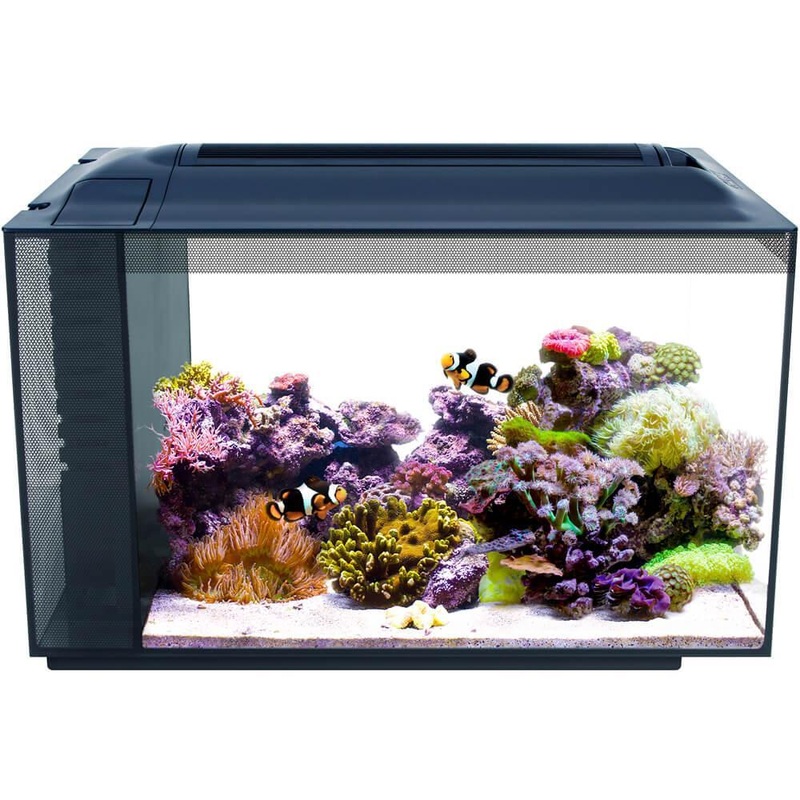 Fluval EVO 52L (13.5 Gallon) Nano Marine Tank