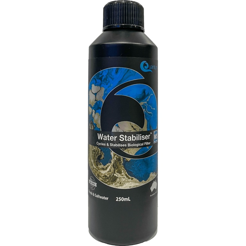 Quantum Water Stabiliser