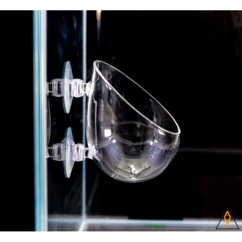 Glass Plant Pod - ALA