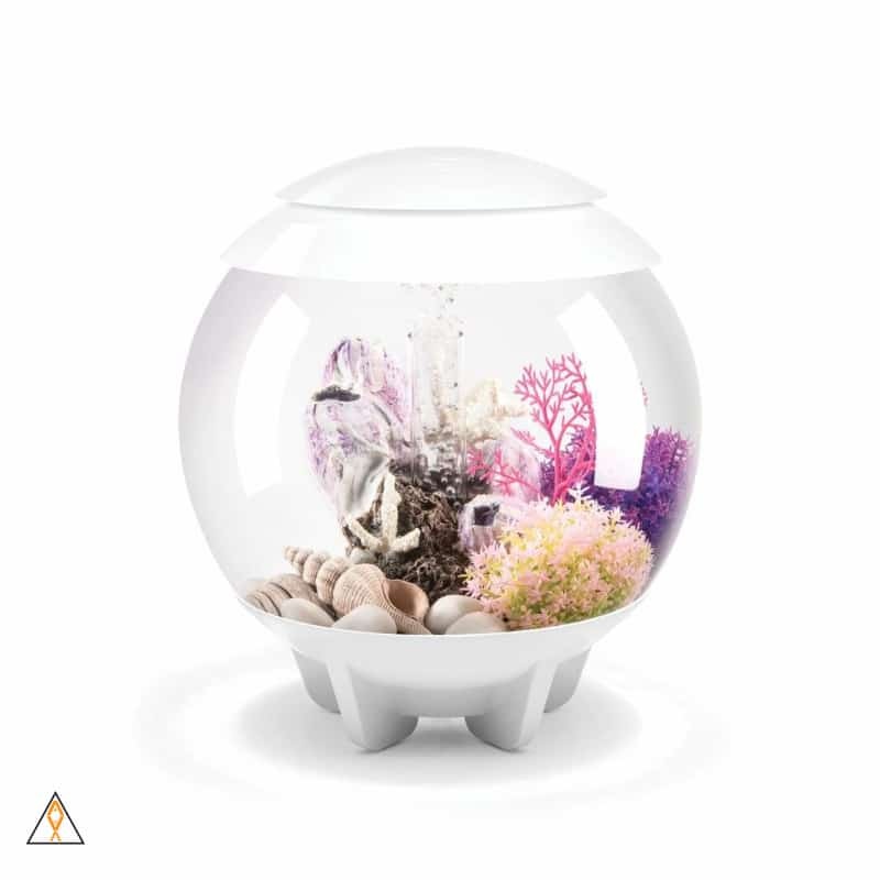 BiOrb Halo 15 Aquarium Kit (4 GAL) - Oase