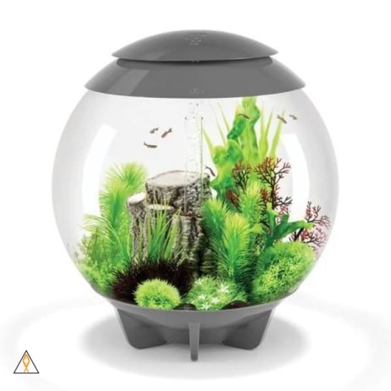 BiOrb Halo 60 Aquarium Kit (16 GAL) - Oase
