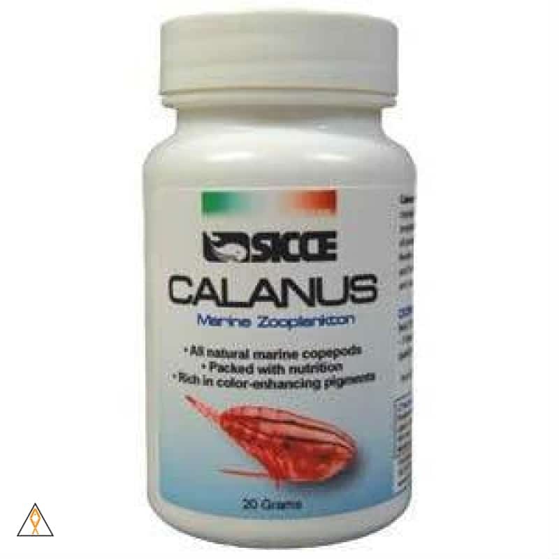 Freeze Dried Calanus - Sicce