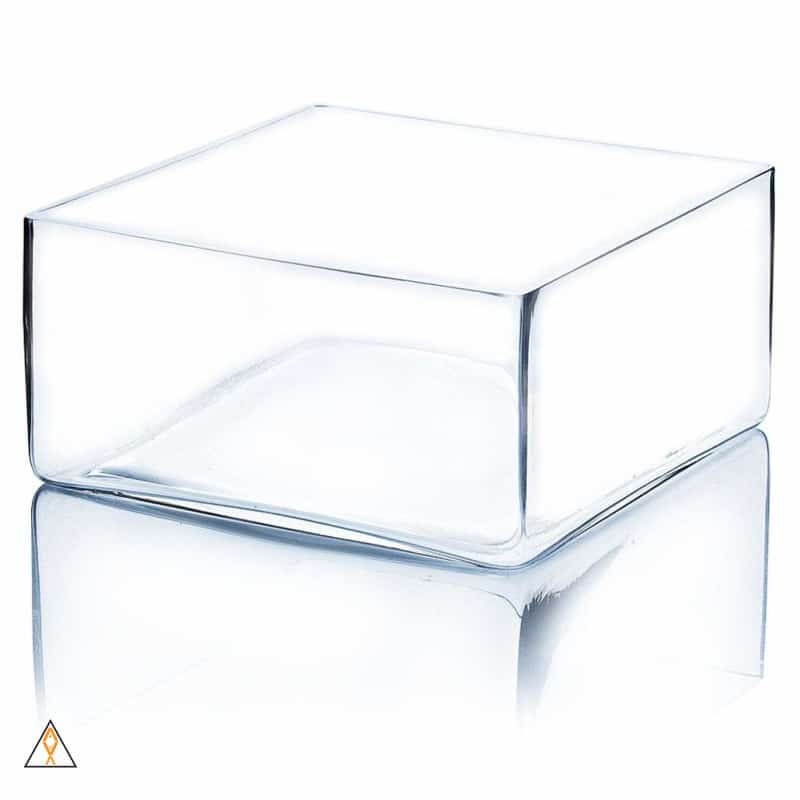 Glass Square Bowl (8"x8"x4")