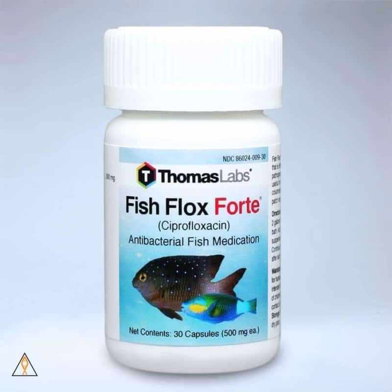 Fish Flox Ciprofloxacin Antibacterial Fish Medication - Thomas Labs