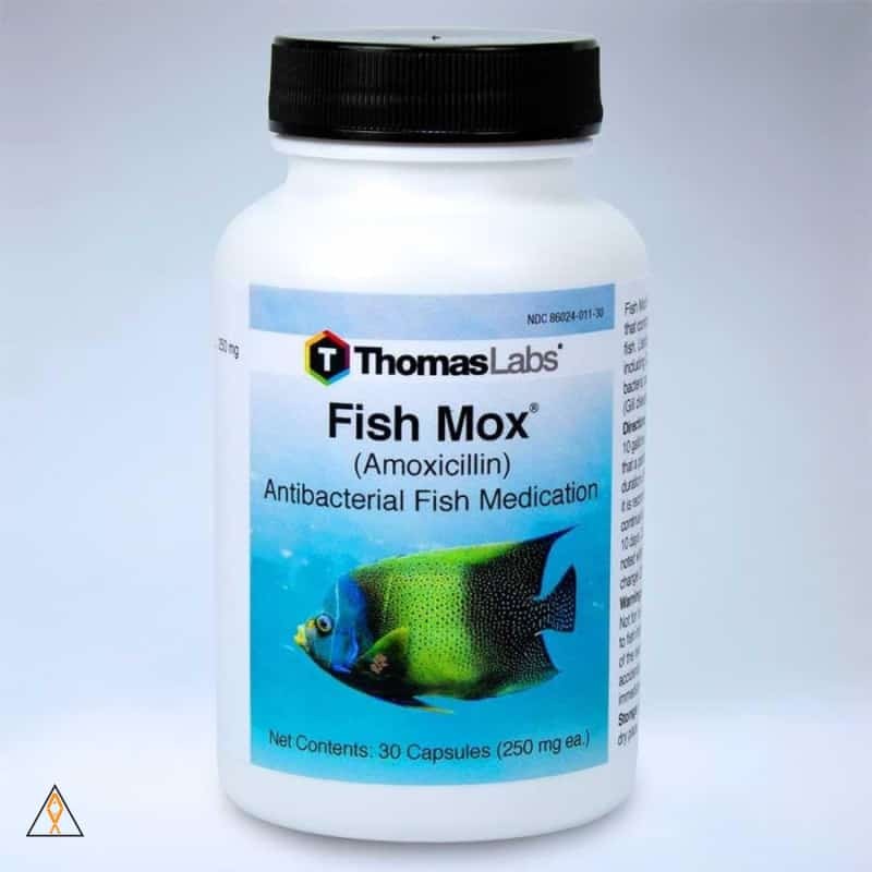 Fish Mox Amoxicillin Antibacterial Fish Medication - Thomas Labs