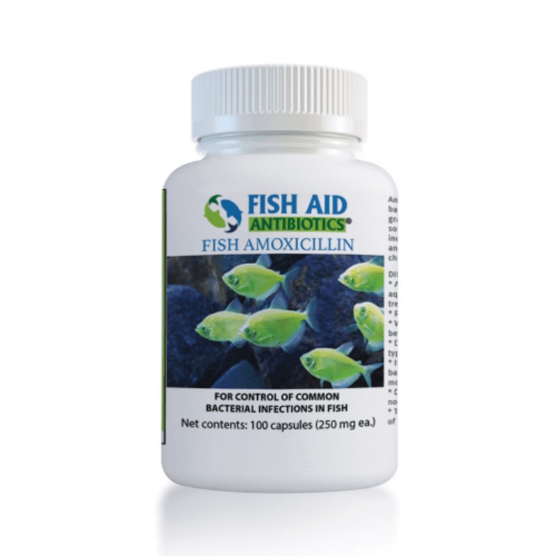 Fish Amoxicillin - Fish Aid Antibiotics