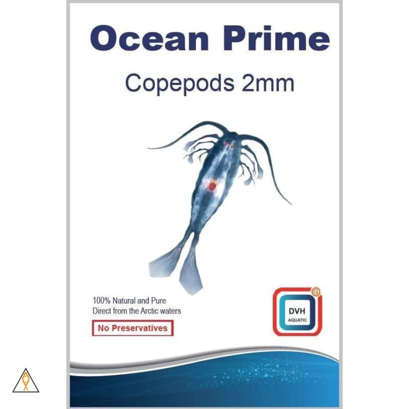 Ocean Prime 2mm Planktonic Copepods - DVH Aquatics