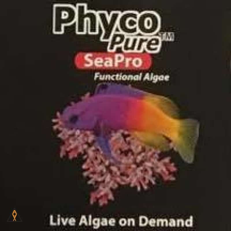 PhycoPure SeaPro Functional Algae - AlgaGen