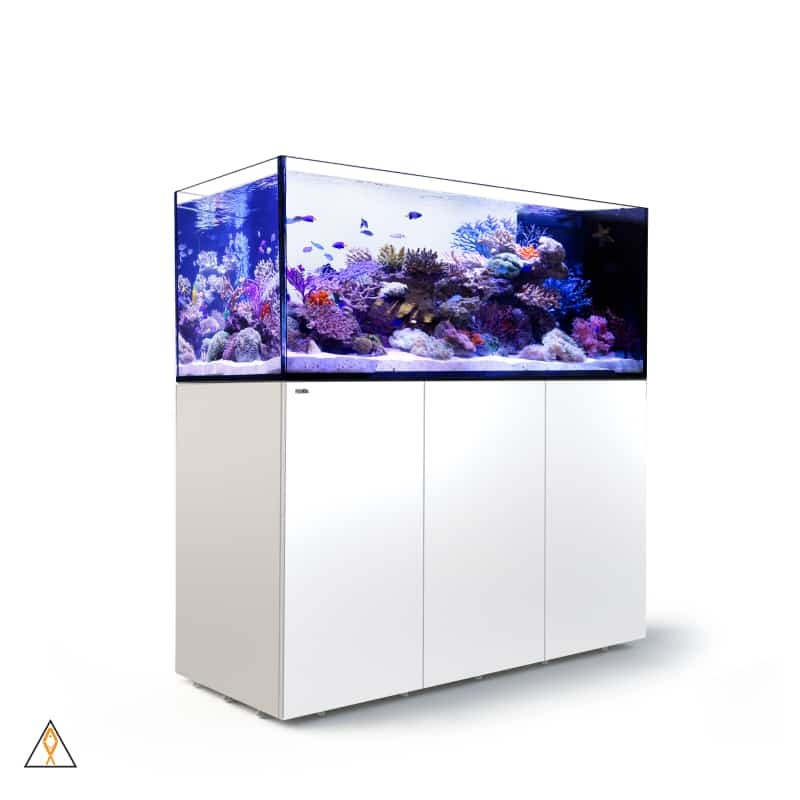 REEFER Peninsula 650 Aquarium System (140 GAL) - Red Sea