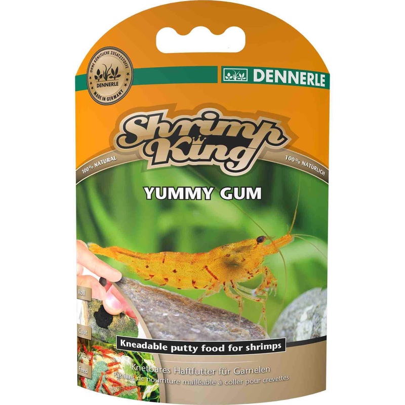 Shrimp King Yummy Gum - Dennerle